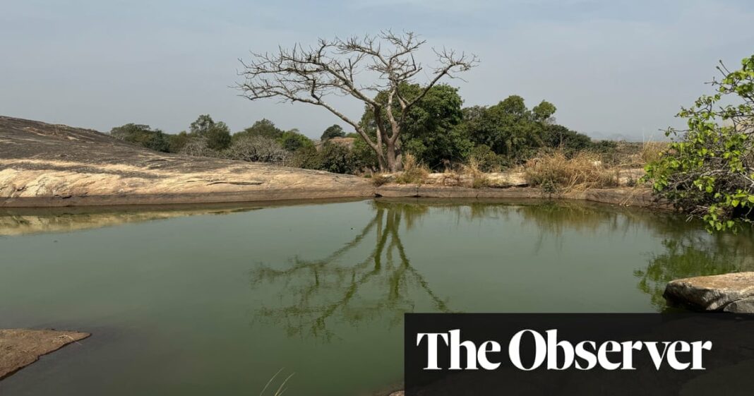 Playas, cerveza y un raro lago suspendido... ¿por qué Nigeria no puede atraer más turistas?
