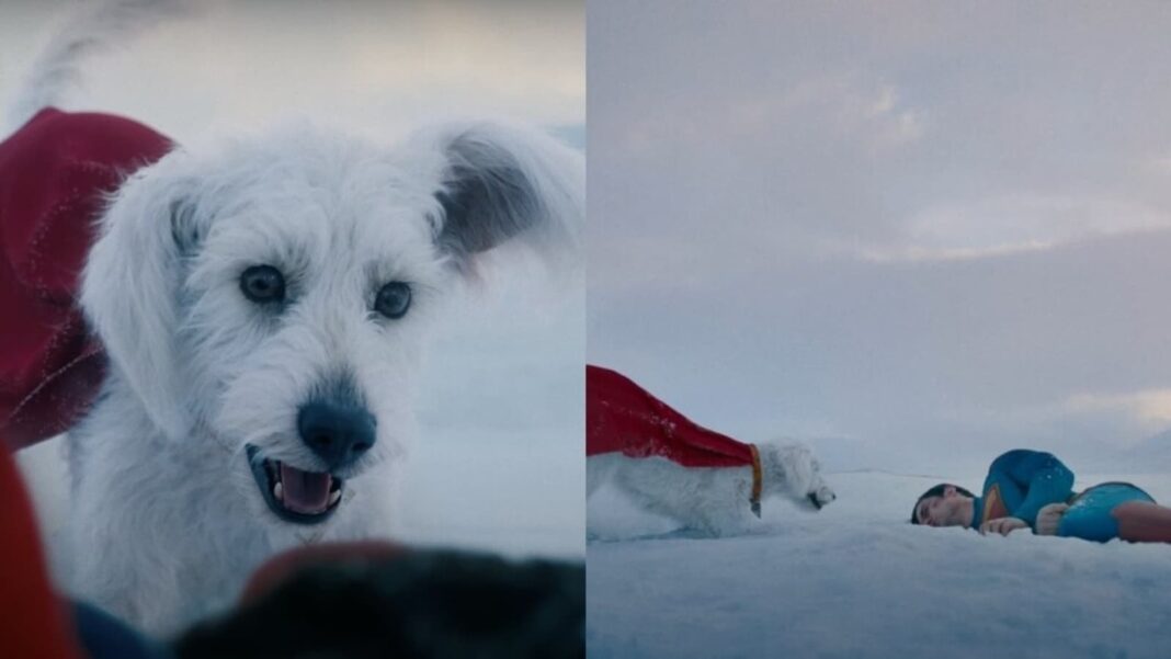 Reacciones del avance del avance de Superman: los fanáticos llaman a Krypto la 'mejor parte' de la película de superhéroes de David Corenswet y James Gunn
