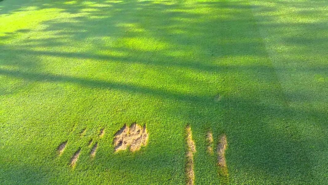 Reglas de golf: ¿Puede un golfista sacar su pelota de golf de un hoyo?
