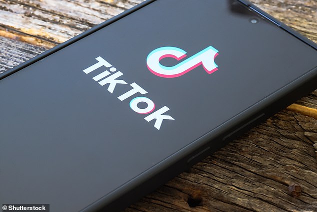 Es la aplicación social elegida por millones de personas en todo el mundo y ofrece un flujo interminable de videoclips cortos pero adictivos. Ahora, a medida que el año llega a su fin, TikTok ha revelado sus principales tendencias para 2024 (foto de archivo)