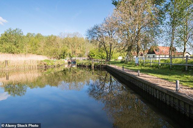 El río Waveney en Geldeston, Norfolk. Se ha descubierto que hasta el 85 por ciento de los ríos analizados en Inglaterra contienen pesticidas que matan a las abejas.