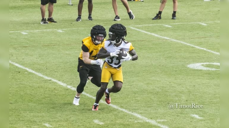 Jonathan Ward Tyler Matakevich Steelers training camp