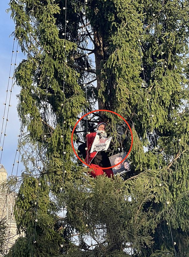 Un manifestante de Fathers4Justice vestido como Papá Noel escala el árbol de Navidad de Trafalgar Square mientras exige a Keir Starmer
