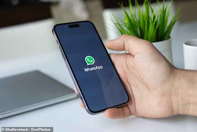 WhatsApp (arriba, en la pantalla), el internacionalmente popular servicio de mensajería y llamadas de voz sobre IP de Meta, ya no será compatible con los antiguos dispositivos iPhone 5s, 6 y 6 Plus el próximo año. El anuncio se produce cuando la aplicación de mensajería planea importantes actualizaciones de sus servicios para mayo de 2025.