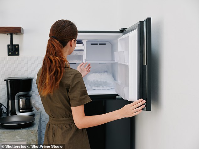 Ya sea un tarrina de helado o una bolsa de guisantes congelados, la mayoría de nosotros arrojamos artículos al congelador sin pensarlo dos veces. Pero adoptar un enfoque más organizado no sólo podría ahorrarle espacio, sino que también podría ayudar a prevenir el desperdicio de alimentos (imagen de archivo)