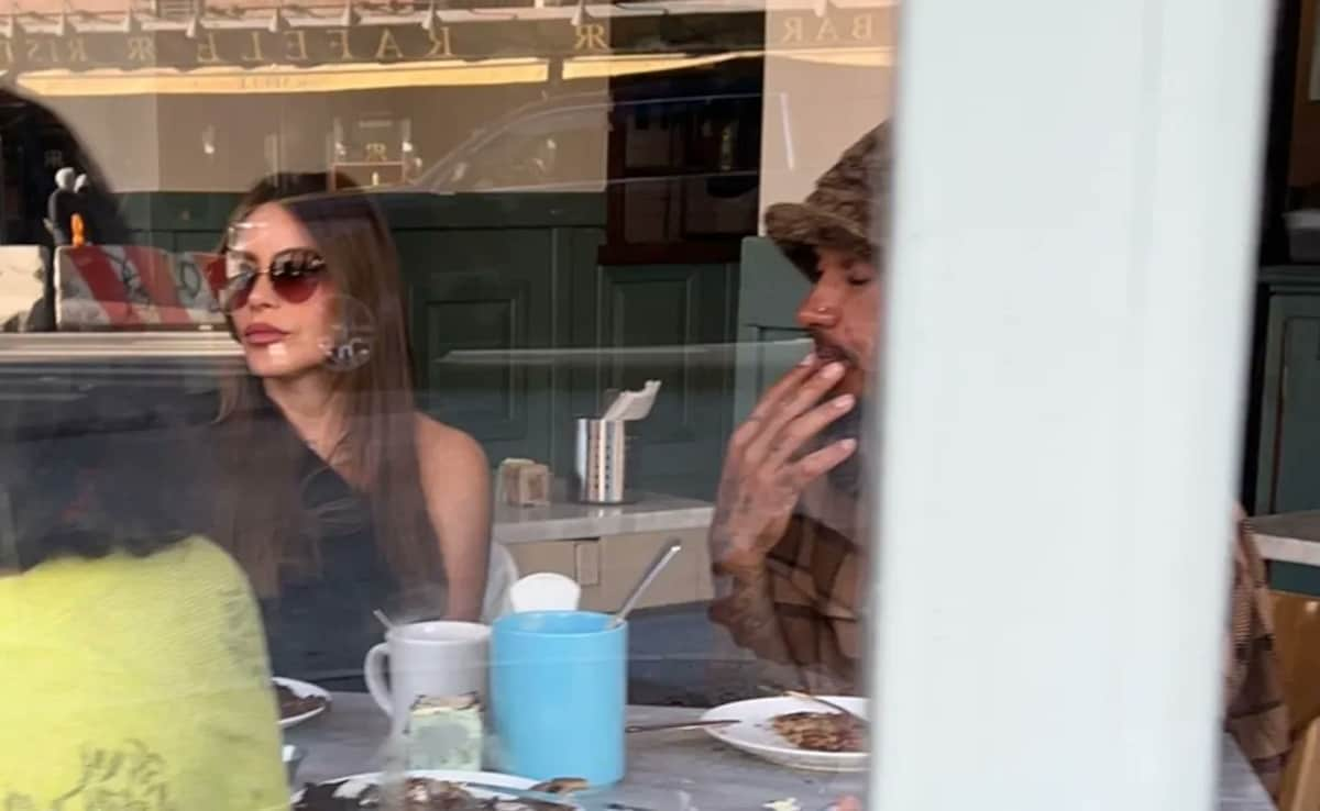 ¿Sofía Vergara ya es "una especie de soltera"? Fue vista en una cita para almorzar con Lewis Hamilton
