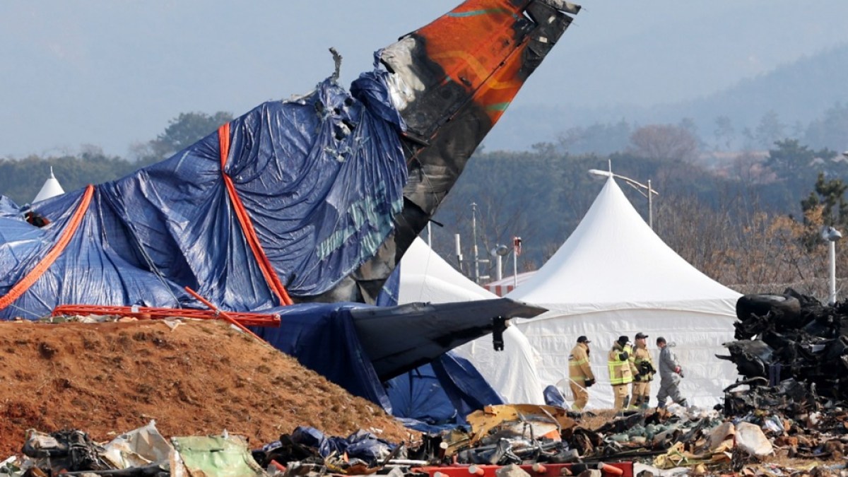 ADN de pato y plumas de ave encontradas en desafortunados motores a reacción de Jeju Air: sonda
