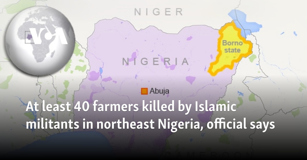 Al menos 40 agricultores asesinados por militantes islámicos en el noreste de Nigeria, dice un funcionario
