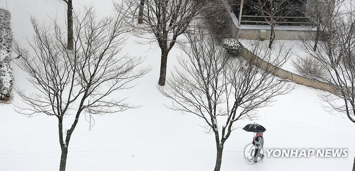 Some KTX train services slowed by heavy snow: railway operator