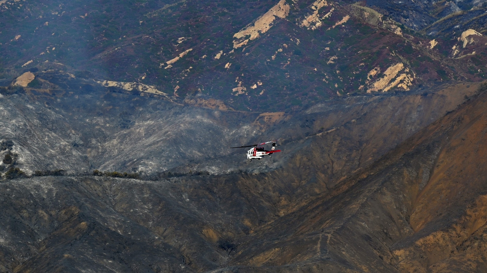 Celebridades de Hollywood se acercan para ayudar a las víctimas de los incendios forestales en Los Ángeles; 'Estoy empacando todo mi...'
