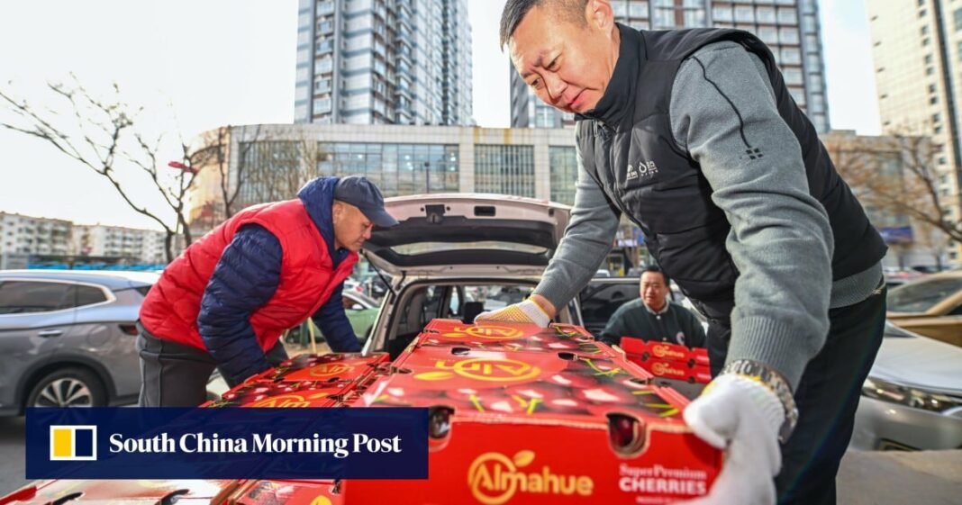 Cómo una cosecha de fruta de parachoques ayudó a China a ganar 'libertad de cereza'
