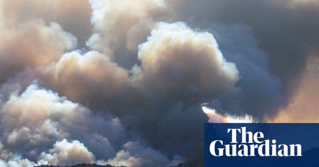 Donde hay fuego, hay humo: los incendios de Los Ángeles generan temores de daños pulmonares 