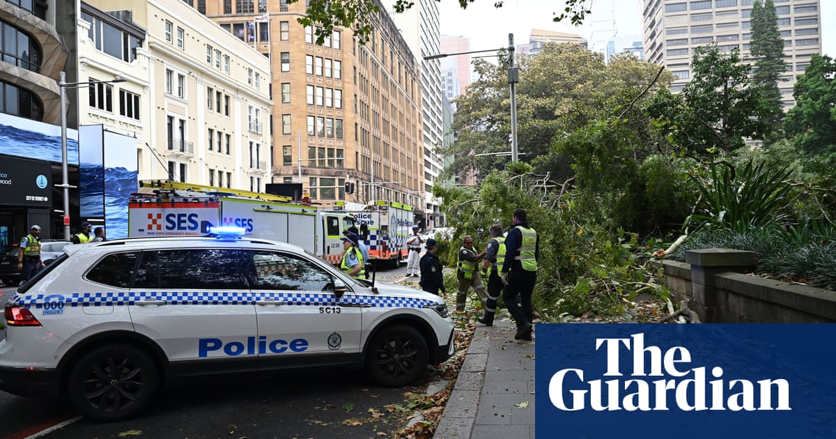 Dos heridos al caer un árbol en medio de fuertes vientos en Hyde Park de Sídney
