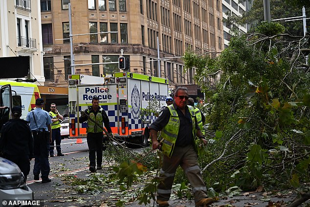 Los servicios de emergencia acudieron rápidamente al lado de Elizabeth Street en Hyde Park en Sydney después de que un árbol cayera sobre dos mujeres.