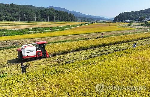 S. Korea&apos;s rice consumption hits fresh low again in 2024: data