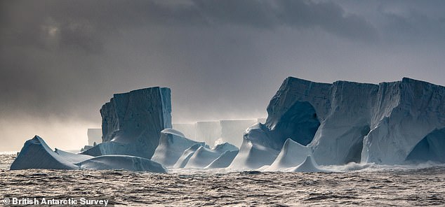 El iceberg más grande del mundo está en un curso de colisión devastador con una isla británica remota, los científicos han advertido