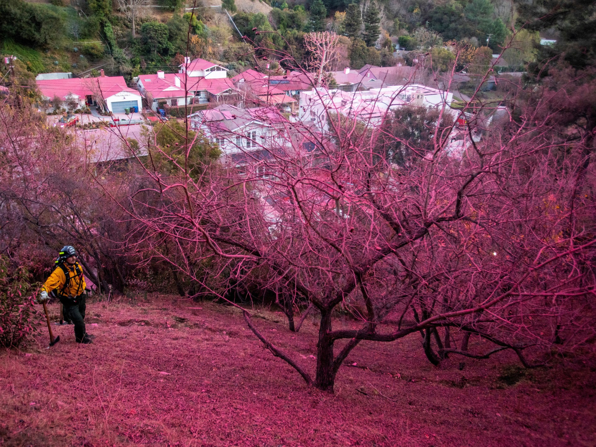 Incendios forestales en Los Ángeles, día 8: ¿Qué es lo último y qué sigue mientras los vientos azotan?
