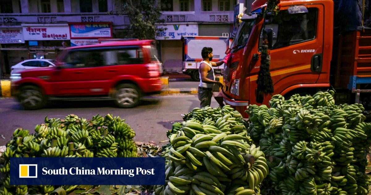 India podría abordar la desaceleración económica, la amenaza arancelaria de los Estados Unidos en el presupuesto anual
