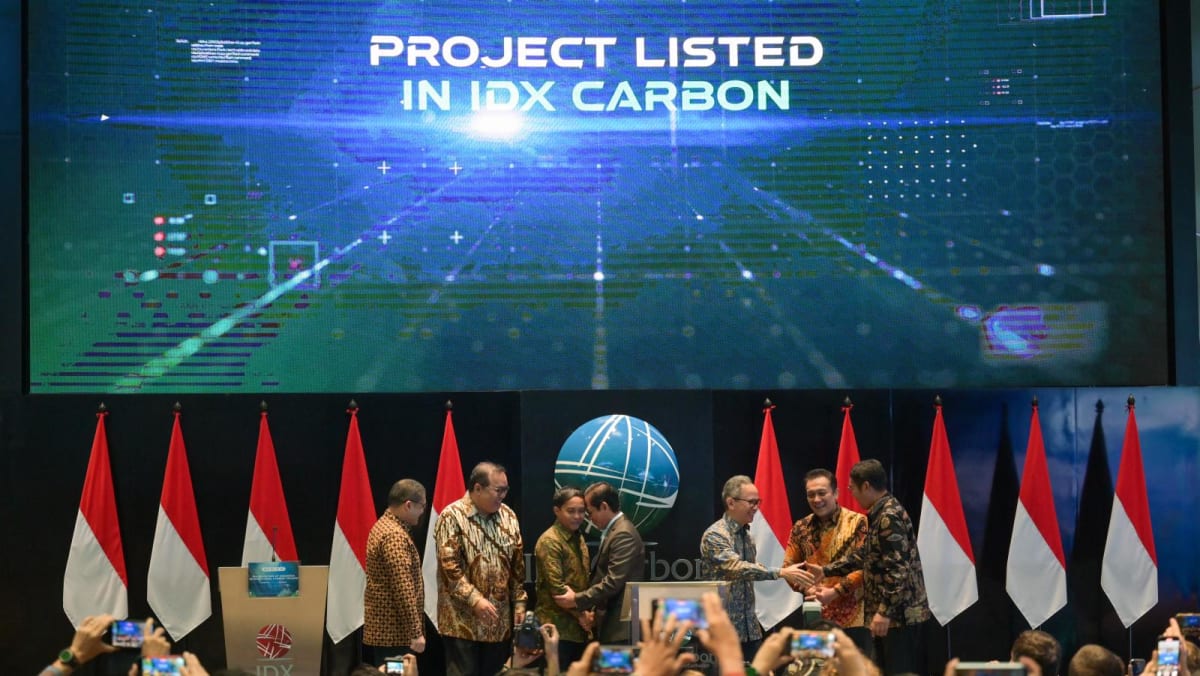 Indonesia lanza intercambio internacional de carbono
