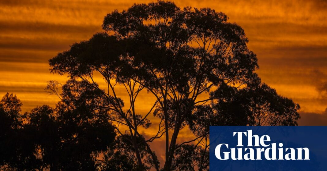 La lluvia causa un corte de energía para decenas de miles de casas de Perth, ya que el fin de semana largo trae clima cálido
