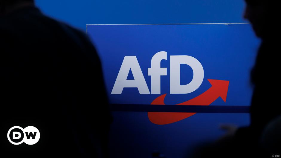 La policía alemana investiga la campaña simulada de billetes de avión de AfD
