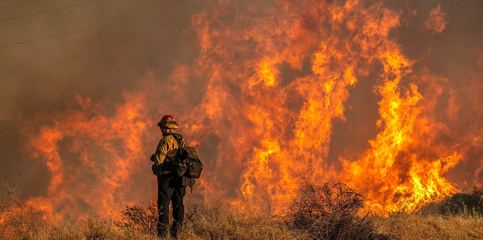 La policía de Los Ángeles se apresura a 'robar' en la casa de Kamala Harris en Brentwood mientras los incendios provocan un caos de saqueos: actualizaciones en vivo
