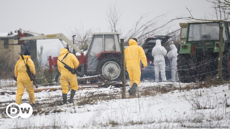 Las autoridades alemanas toman medidas para contener la fiebre aftosa
