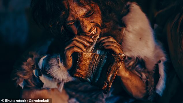 Los hombres de las cavernas han sido retratados durante mucho tiempo como voraces comedores de carne (imagen de archivo)