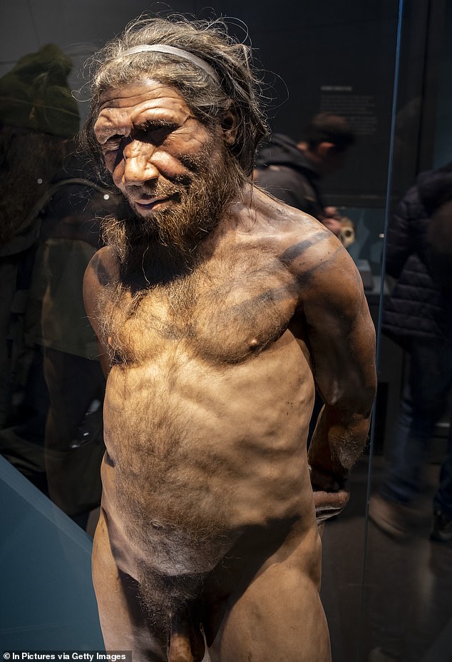 Hace unos 60.000 años nos enfrentamos cara a cara (e incluso tuvimos relaciones sexuales con) otra especie, llamada neandertal. En la foto, reconstrucción de un hombre de Neandertal en el Museo de Historia Natural de Londres.