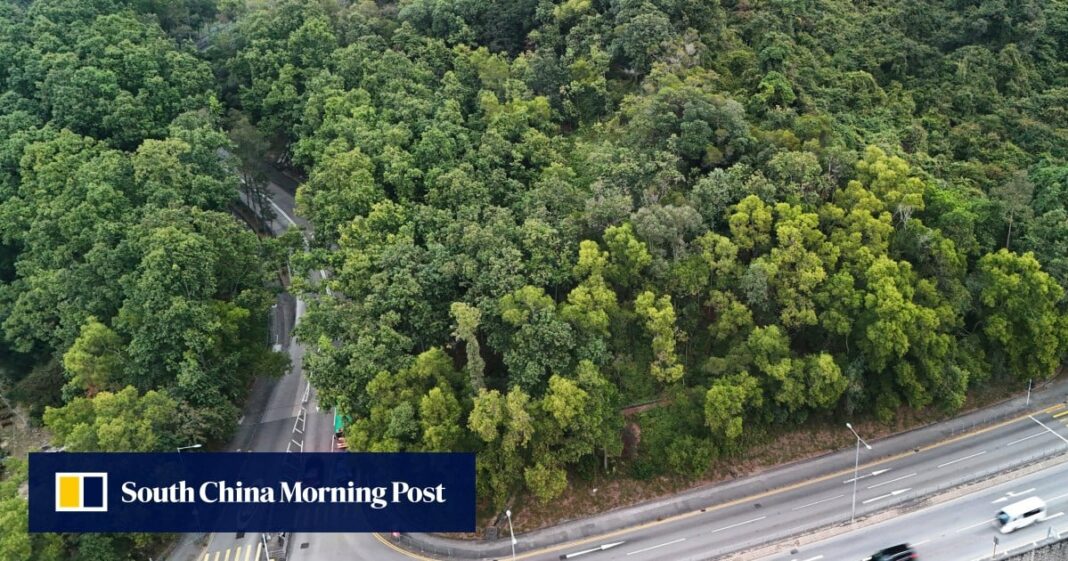 Los concejales de distrito se oponen al primer proyecto del plan de reparto de tierras de Hong Kong
