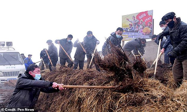 Los norcoreanos se han estado robando las heces unos a otros mientras Kim Jong-Un exige a su pueblo una cuota increíblemente alta de desechos humanos para usarlos como fertilizante.