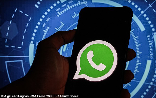 Se advierte a los usuarios de Whatsapp que actualicen su aplicación, ya que los investigadores detectan una grave falla de seguridad en una característica popular (imagen de stock)