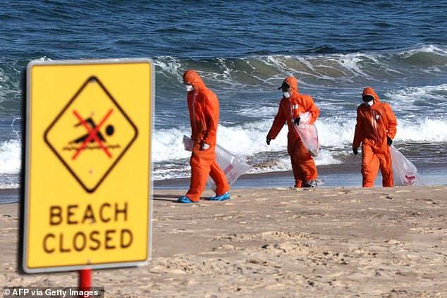 Se produce después de que siete playas icónicas, incluidas Bondi, Coogee y Maroubra en el este de la ciudad, fueran cerradas en octubre cuando docenas de bolas negras aparecieron.