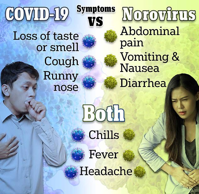 El norovirus puede parecer similar a los síntomas de Covid, y ambos virus causan escalofríos, fiebre y dolores de cabeza.