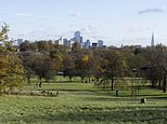 Pánico en Primrose Hill cuando el automóvil se desvía hacia la multitud que observa los patios de fuegos artificiales de Londres desde donde un adolescente fue asesinado a puñaladas el año nuevo
