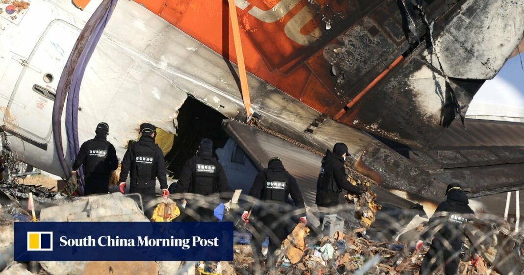 'Plumas y manchas de sangre de pájaros' resaltadas en el informe del accidente de Jeju Air
