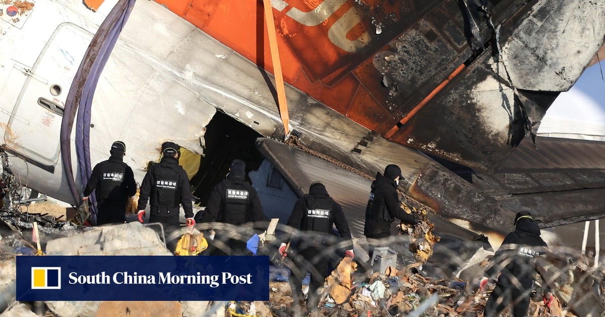 'Plumas y manchas de sangre de pájaros' resaltadas en el informe del accidente de Jeju Air
