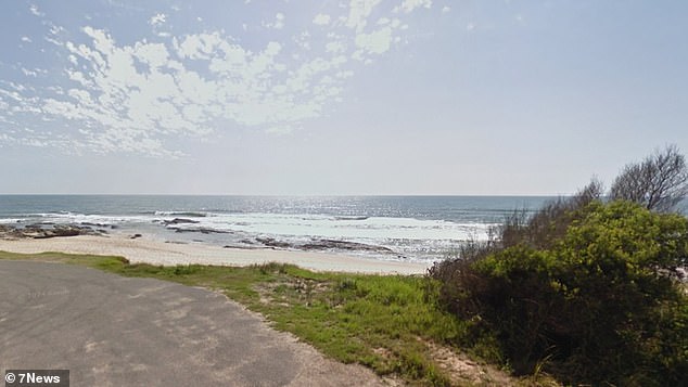 Los servicios de emergencia recibieron informes de un accidente de avioneta en aguas al sur de Nambucca Heads (en la foto) en la costa de Coffs poco después de las 4 p.m.