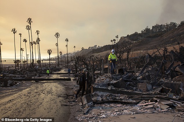 En varias fotografías se pueden ver palmeras todavía erguidas en medio de los restos de casas y automóviles incendiados esta semana por los incendios.