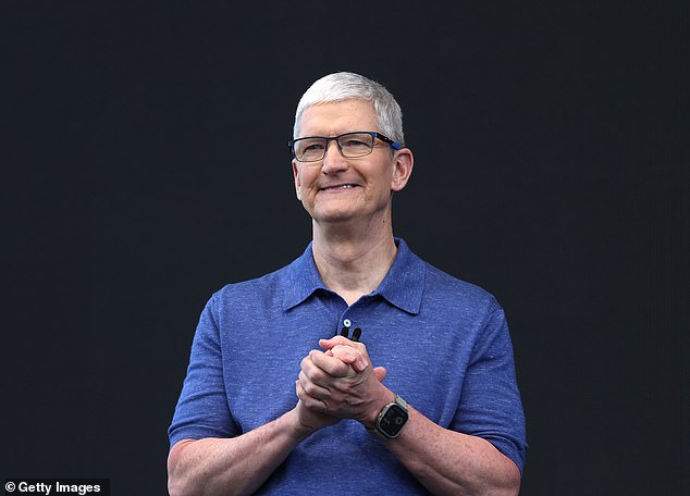 Si bien ahora es conocido por ser el líder de una de las empresas más grandes del mundo, el CEO de Apple, Tim Cook (en la foto), comenzó su carrera en una posición más humilde.