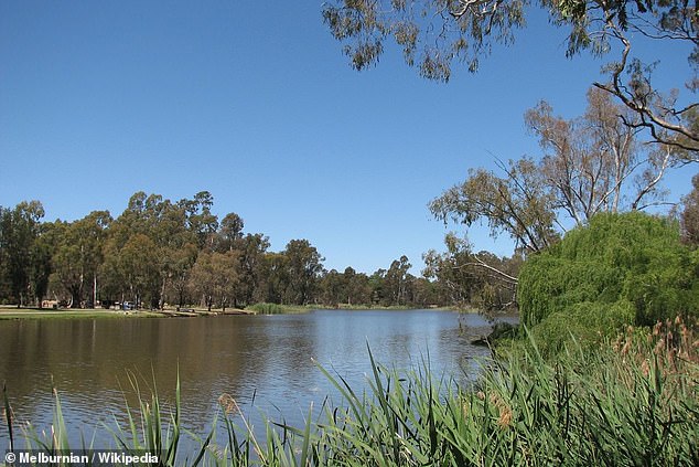 El cuerpo de la niña de 12 años fue encontrado en el río Broken (en la foto) cerca de Benalla, en el noroeste de Victoria, alrededor de las 10 de la mañana del sábado