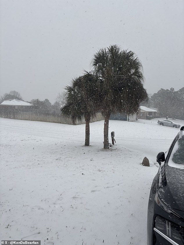 Una tormenta de nieve 