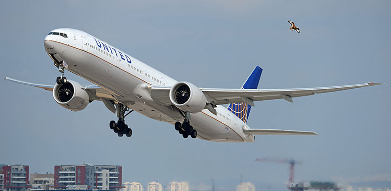 United Airlines  credit: Shutterstock/Felix Tchvertkin