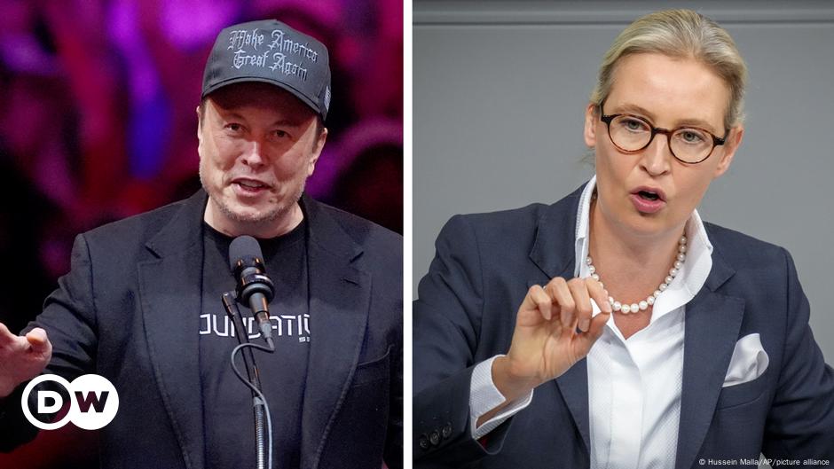 Verificación de hechos: ¿Se sostienen las afirmaciones de Musk y Weidel?
