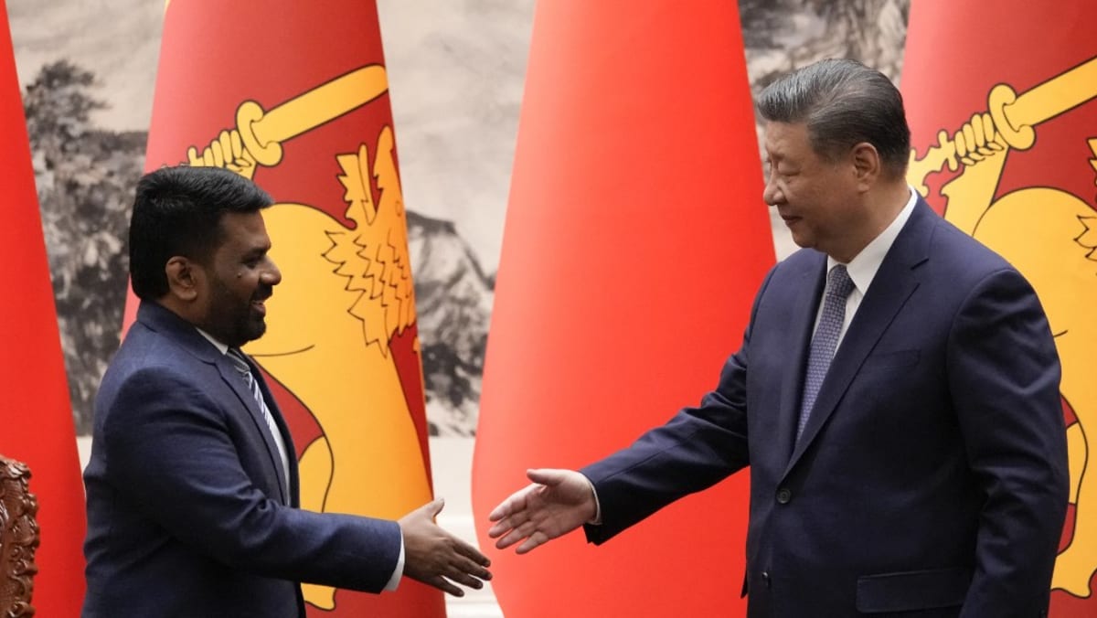 Xi elogia la "oportunidad histórica" ​​para las relaciones China-Sri Lanka en conversaciones con el presidente
