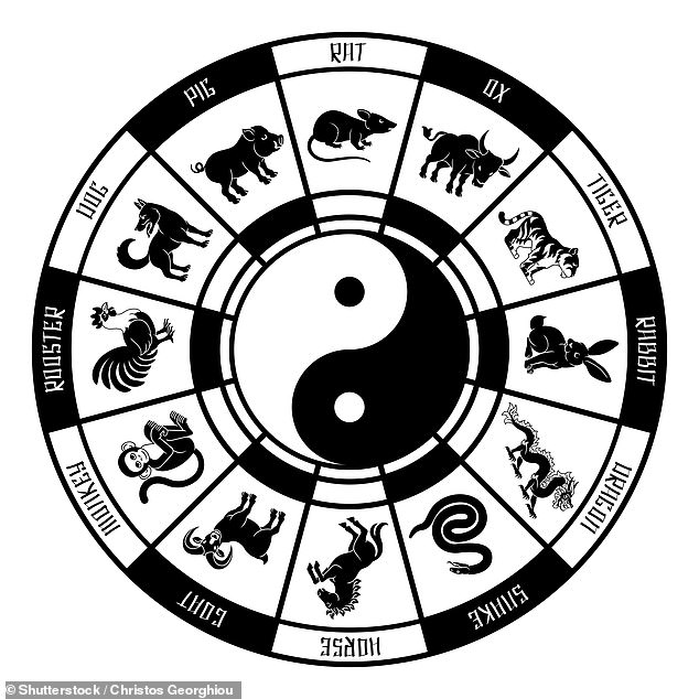 El 29 de enero acoge con él el año de la serpiente, según el zodiaco chino, que alberga a los nacidos en 2013, 2001, 1989, 1977, 1965, 1953, 1941 y 1929. Imagen de stock utilizada