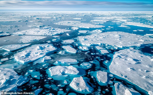 Proporciona hábitats para la vida silvestre y refleja la luz solar de regreso al espacio para ayudar a mantener nuestro planeta fresco. Pero los científicos advierten que el hielo marino del mundo, el agua del océano congelado en los polos norte y sur, se ha sumido a un récord. Foto, hielo de fragmento en el Polo Norte