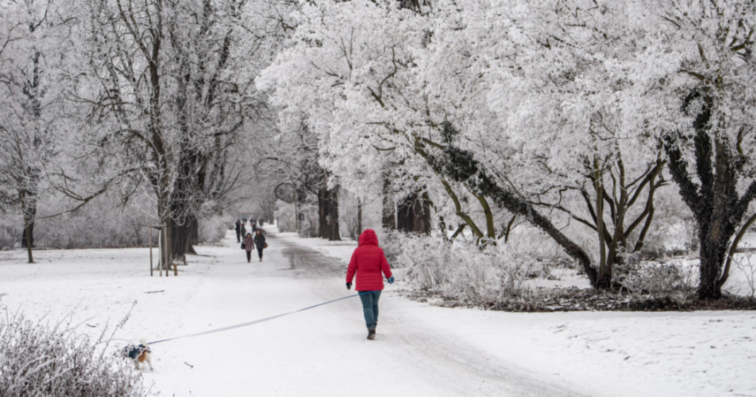 Advertencias de hielo emitidas como más pronóstico de nieve para el norte de Alemania
