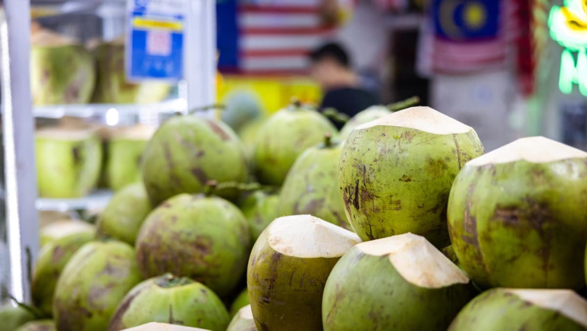 La escasez de coco combina el aumento de los precios en Malasia; proveedores con pérdida a medida que los rendimientos caen bruscamente
