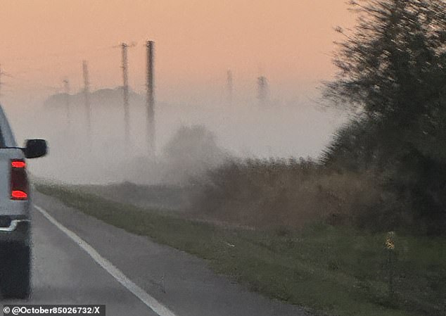 Una persona en Nápoles, Florida, compartió estas imágenes de una densa niebla gris a lo largo del costado de una carretera el lunes, escribiendo: 